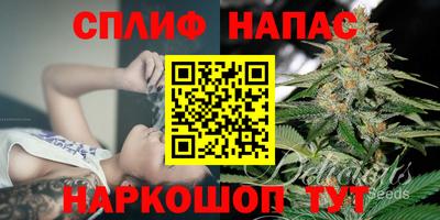 СК Обнинск