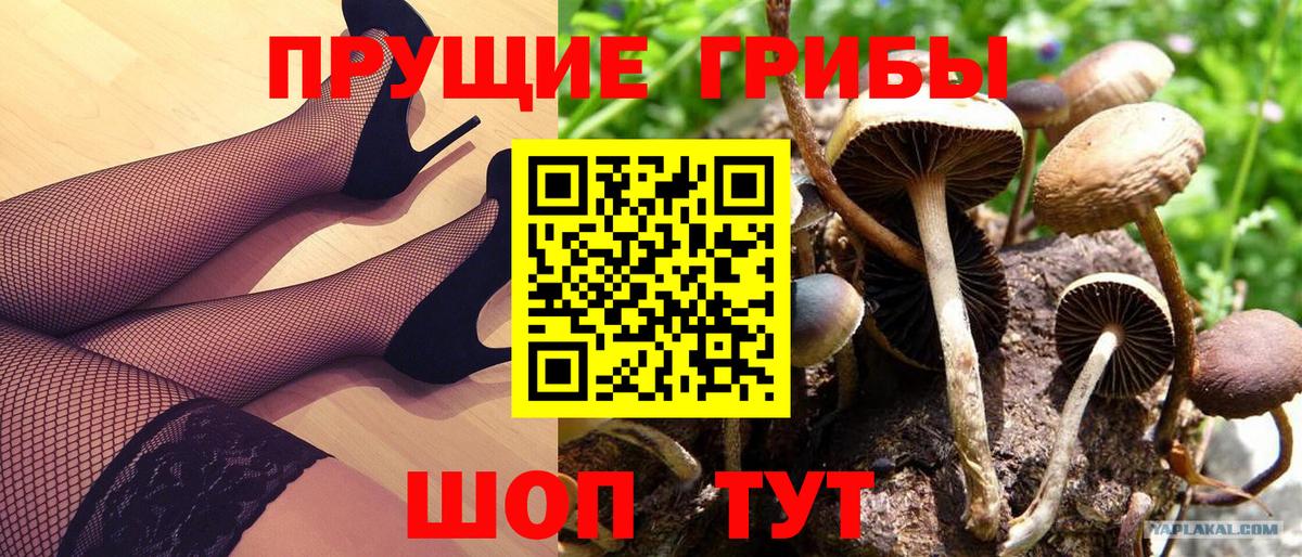 Псилоцибиновые грибы мицелий  Псилоцибиновые грибы мицелий  Усинск  купить   Вход с VPN 