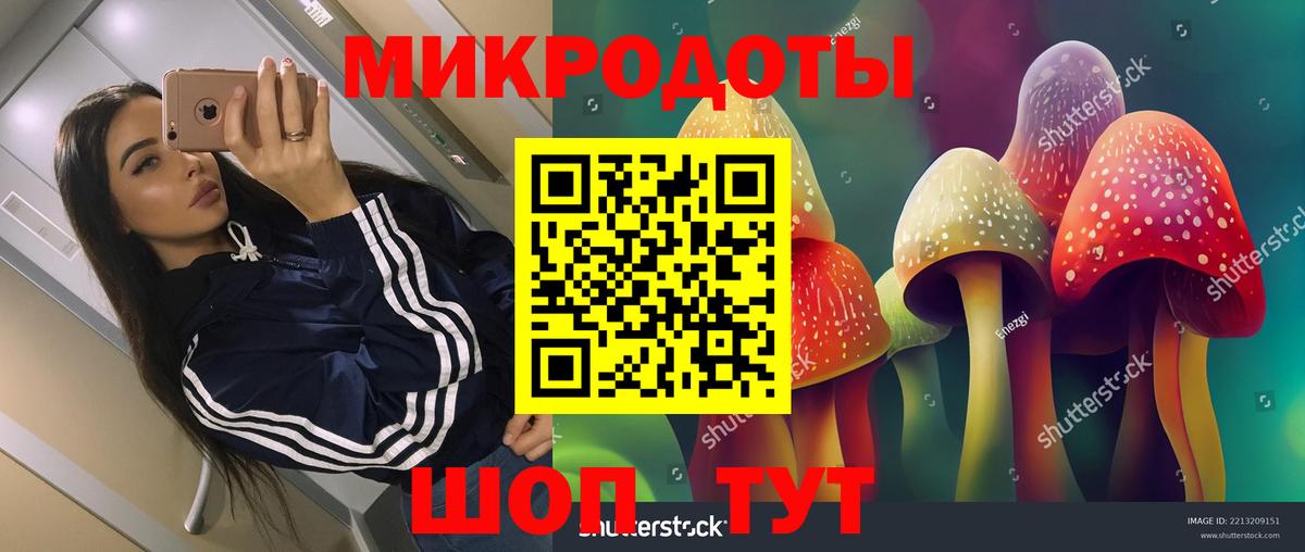 Галлюциногенные грибы Cubensis Усинск