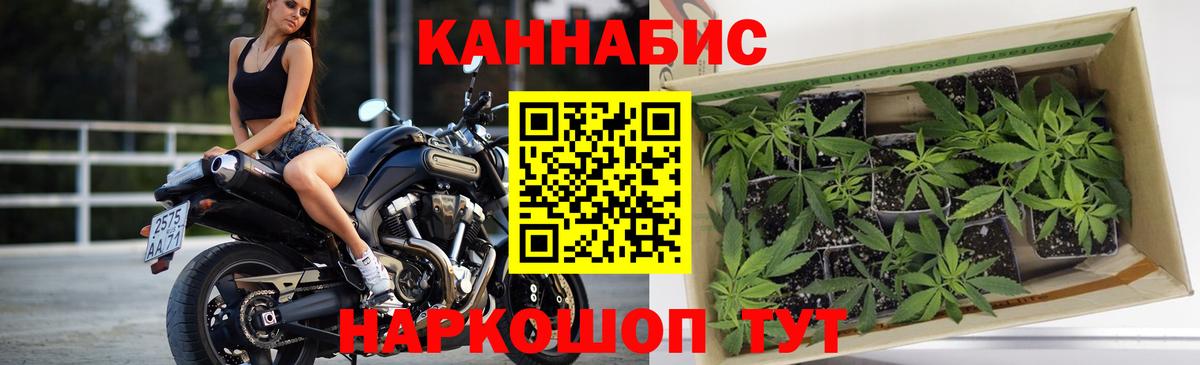 Конопля план Усинск
